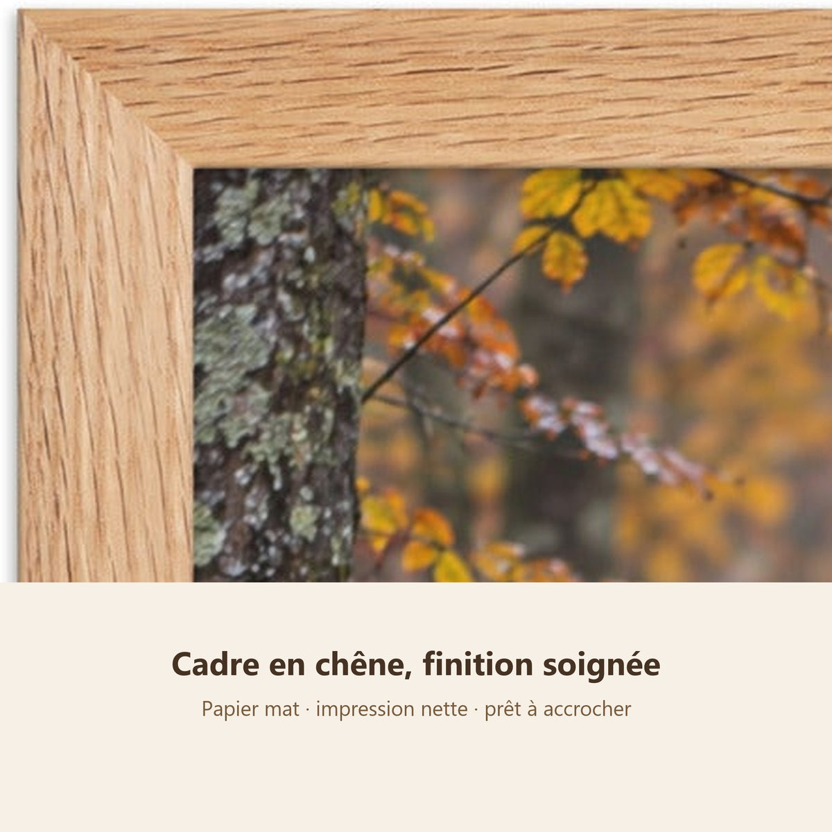 Poster Encadré Cerf en forêt d'automne - Affiche Animaux Sauvages Cadre Chêne - Décoration Murale