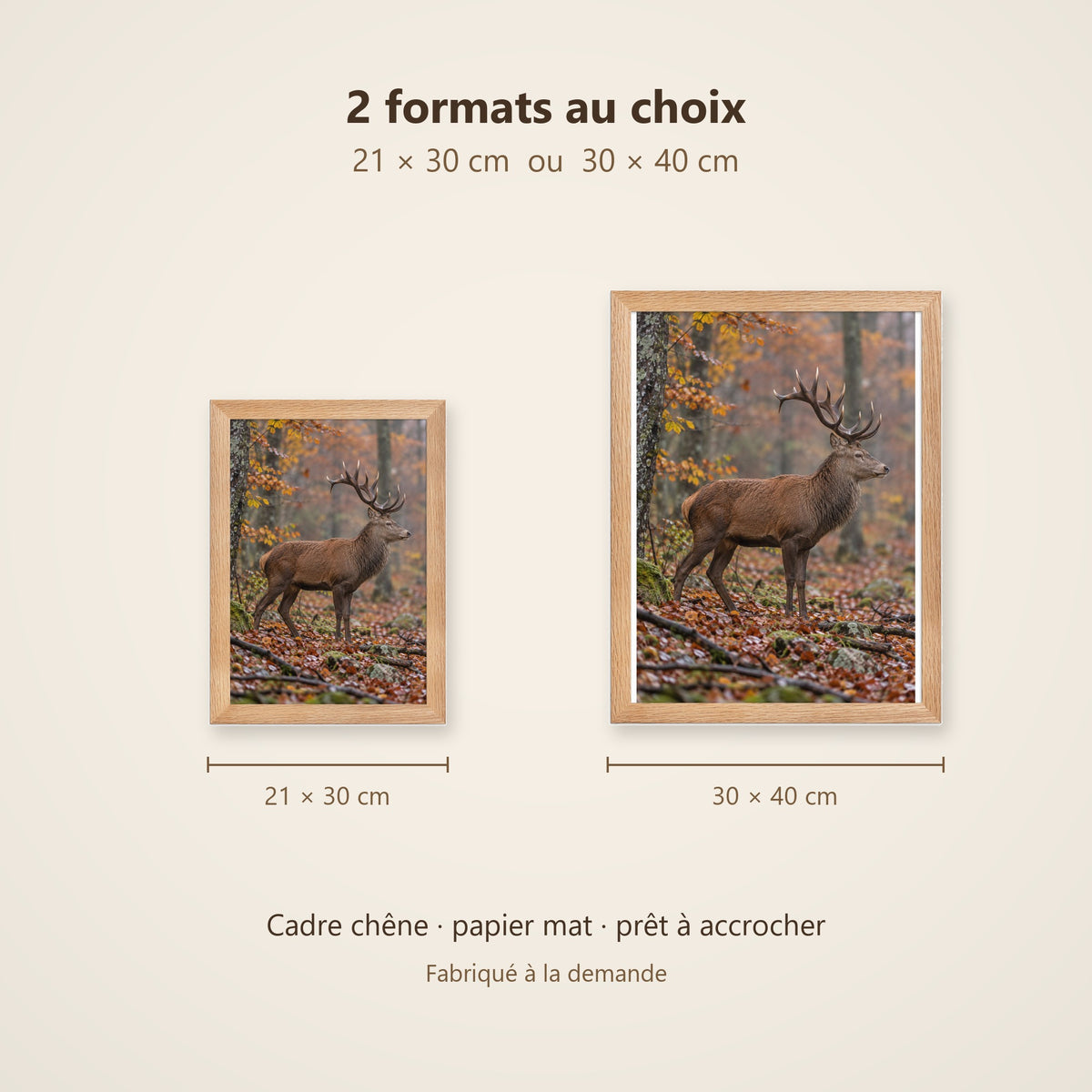 Poster Encadré Cerf en forêt d'automne - Affiche Animaux Sauvages Cadre Chêne - Décoration Murale