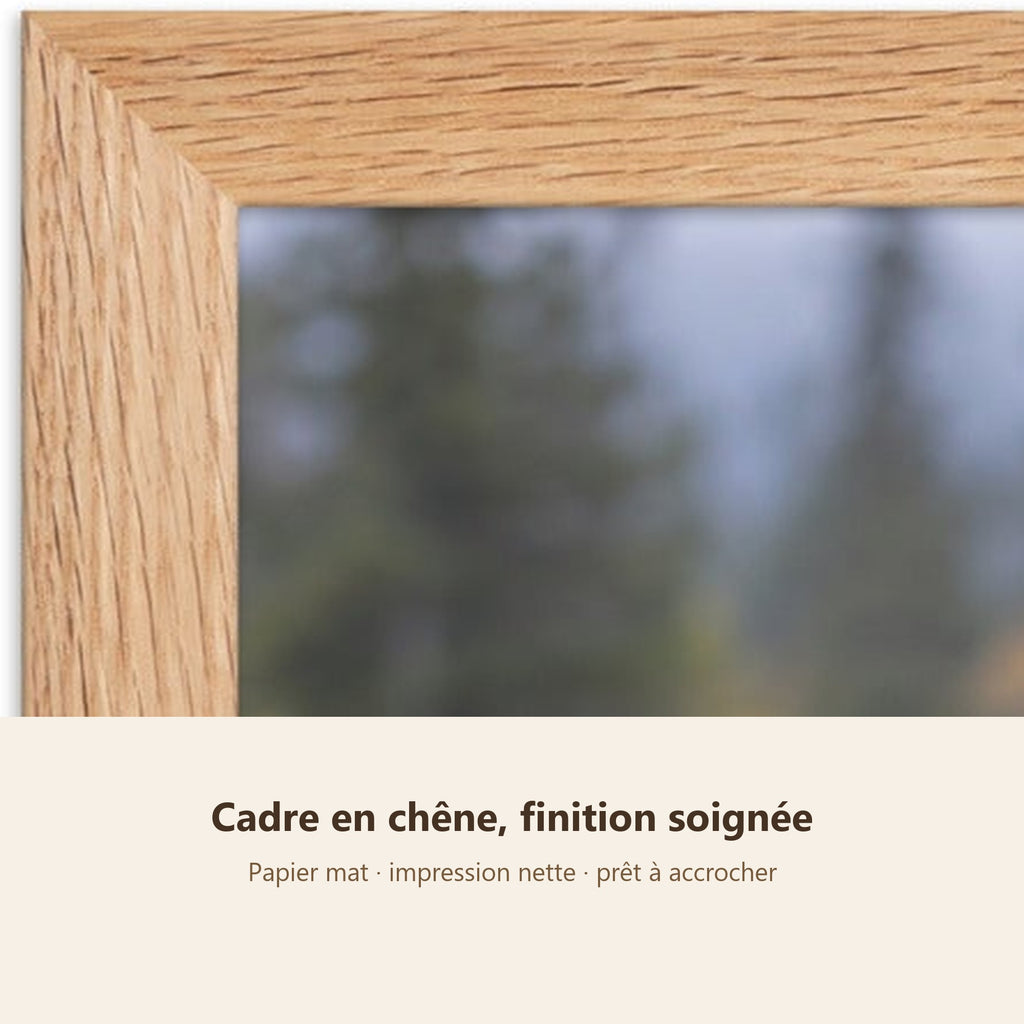 Poster Encadré Ours brun - Affiche Animaux Sauvages Cadre Chêne - Décoration Murale
