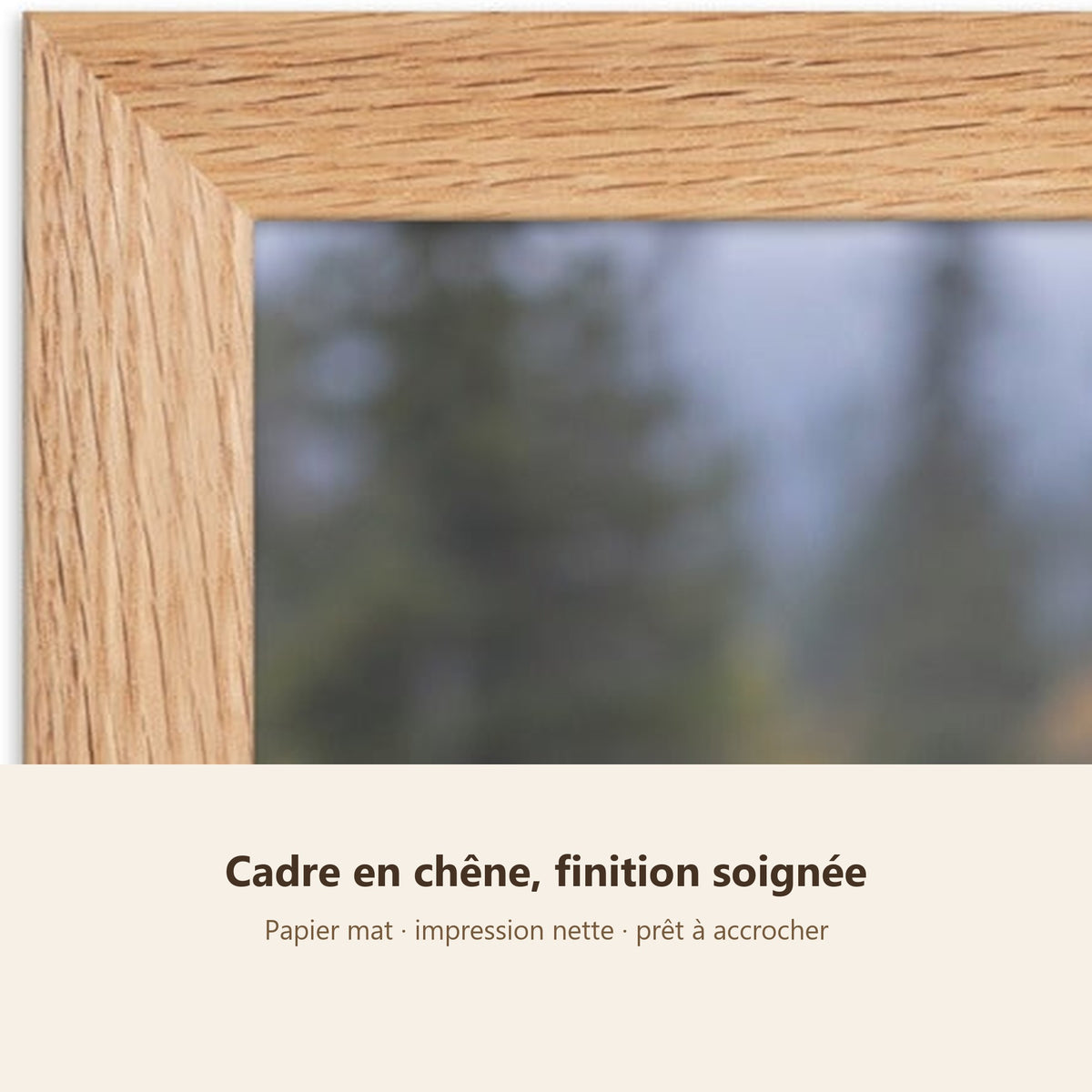 Poster Encadré Ours brun - Affiche Animaux Sauvages Cadre Chêne - Décoration Murale