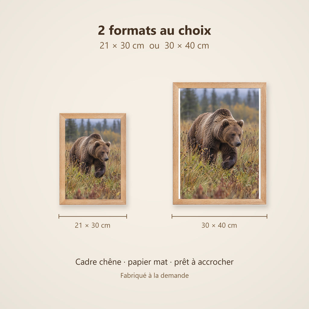 Poster Encadré Ours brun - Affiche Animaux Sauvages Cadre Chêne - Décoration Murale
