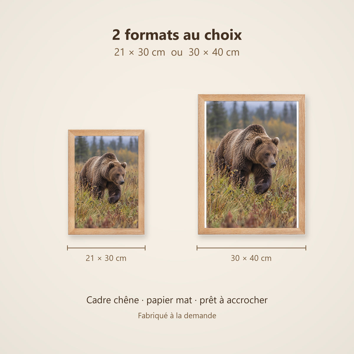 Poster Encadré Ours brun - Affiche Animaux Sauvages Cadre Chêne - Décoration Murale