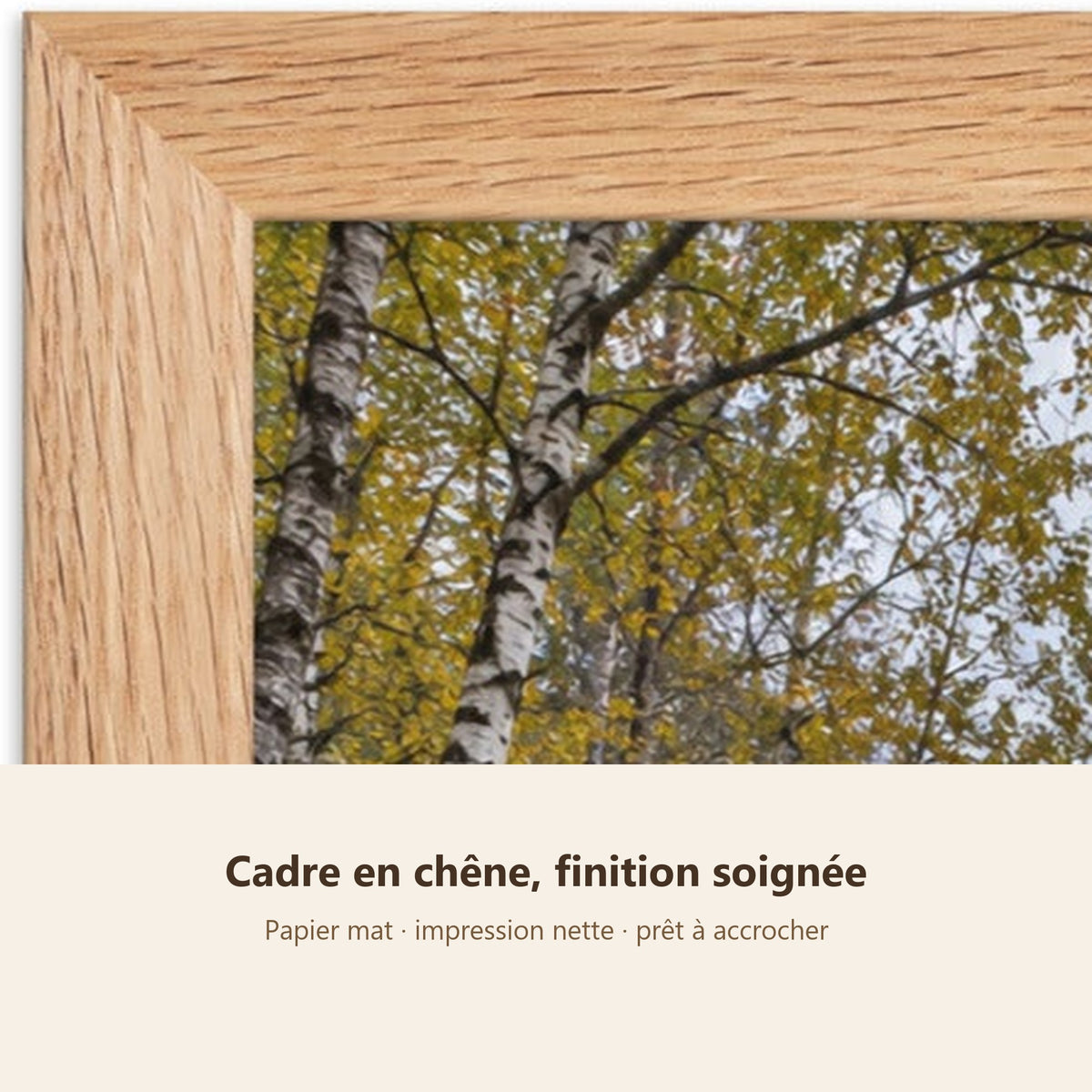 Poster Encadré Rivière de montagne - Affiche Nature Cadre Chêne - Décoration Murale