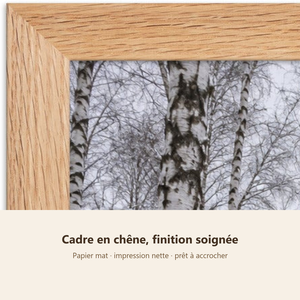 Poster Encadré Forêt de bouleaux sous la neige - Affiche Nature Cadre Chêne - Décoration Murale