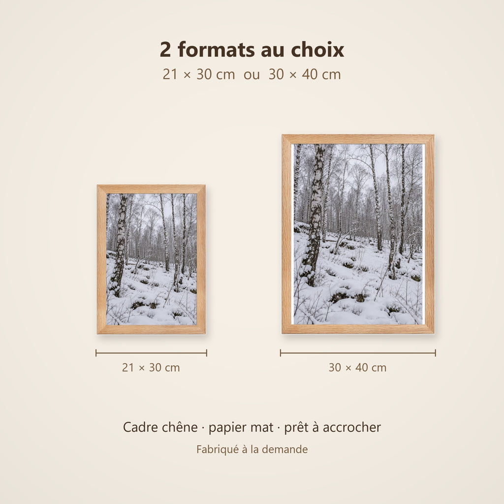 Poster Encadré Forêt de bouleaux sous la neige - Affiche Nature Cadre Chêne - Décoration Murale