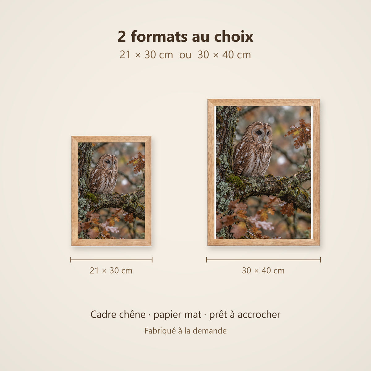 Poster Encadré Chouette hulotte - Affiche Animaux Sauvages Cadre Chêne - Décoration Murale