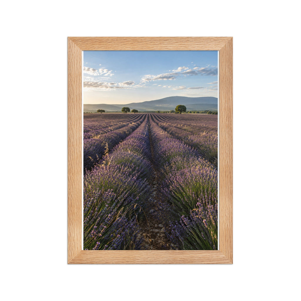 Lot Champs et Campagne - 3 Posters Encadrés Nature Champêtre - Cadre Chêne