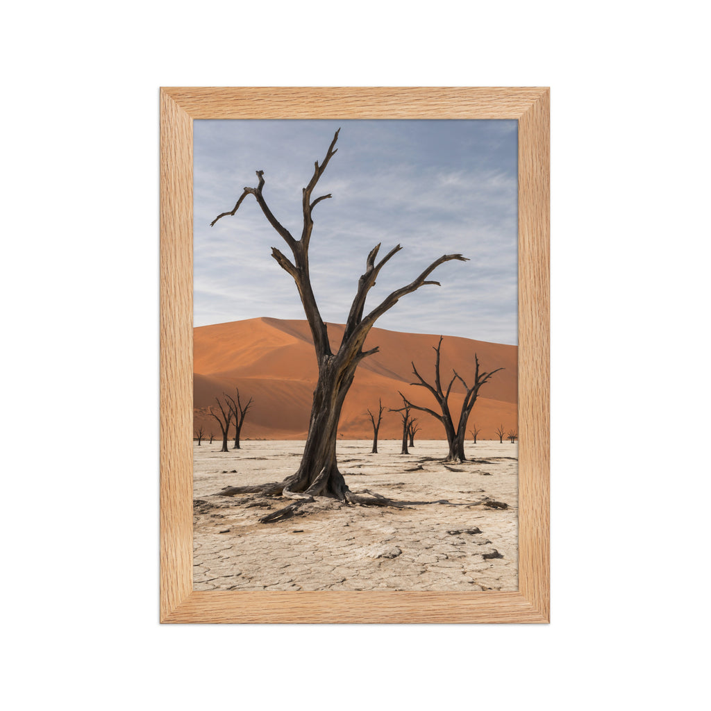 Poster encadré chêne Deadvlei Namibie - aperçu 1