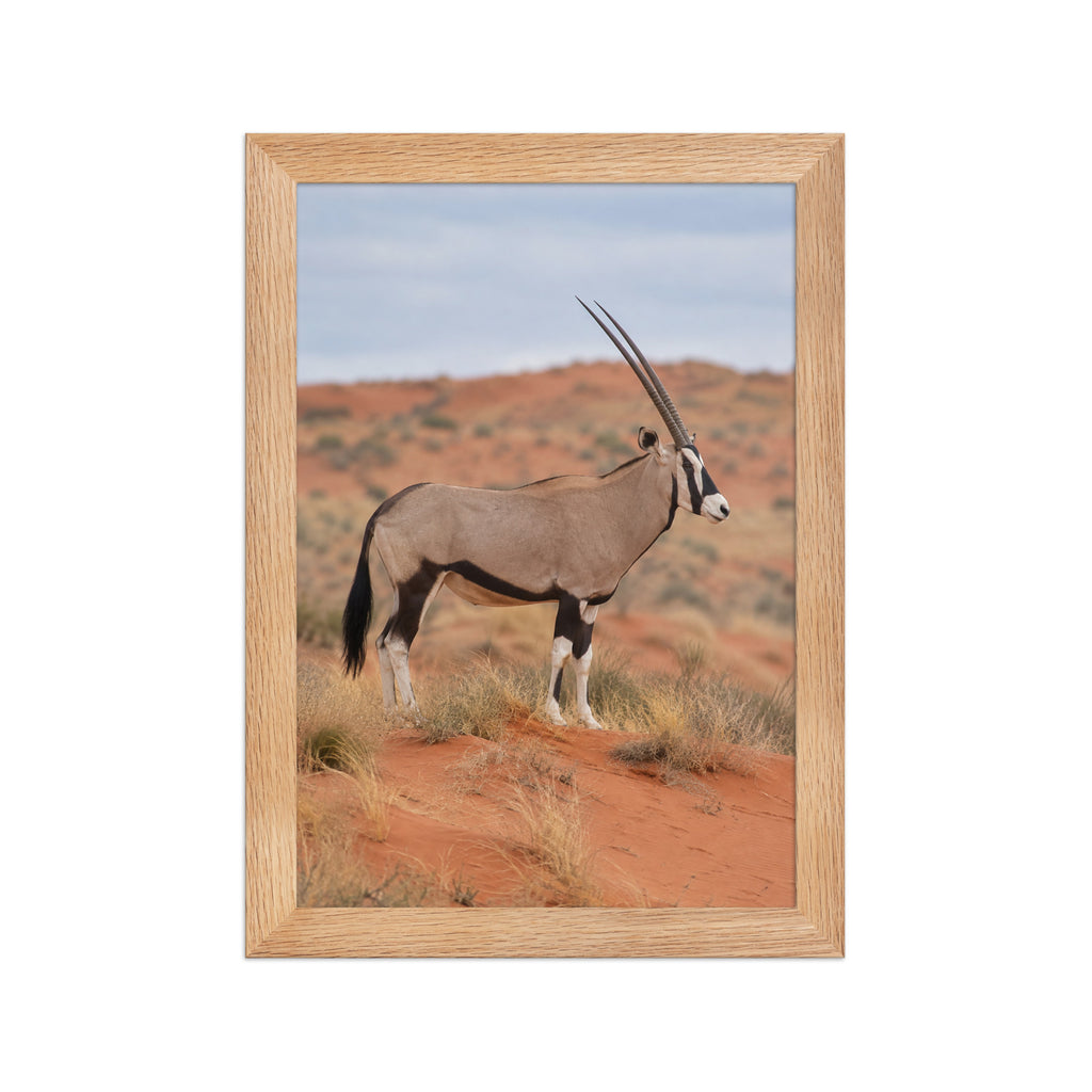 Poster encadré chêne Kalahari et oryx - aperçu 1