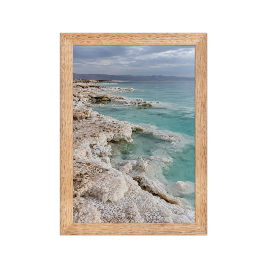 Poster encadré chêne Mer Morte - aperçu 1