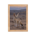Poster encadré chêne Renard fennec - aperçu 1