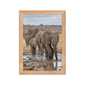 Poster encadré chêne Éléphants au point d'eau - aperçu 1