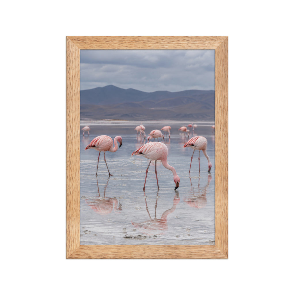 Poster encadré chêne Flamants roses lac salé - aperçu 1