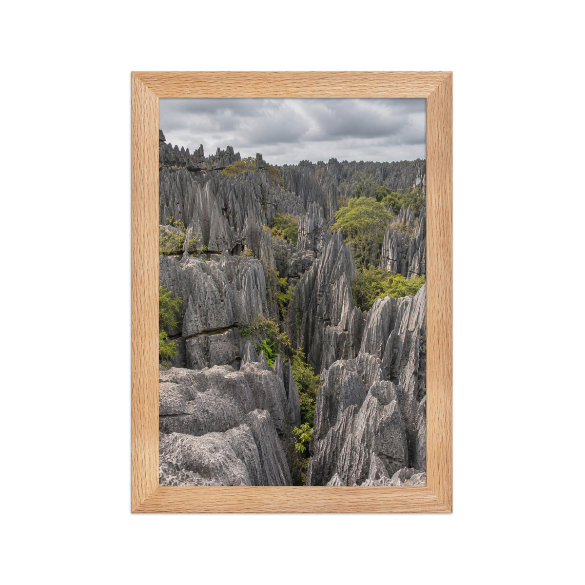 Poster encadré chêne Tsingy Madagascar - aperçu 1