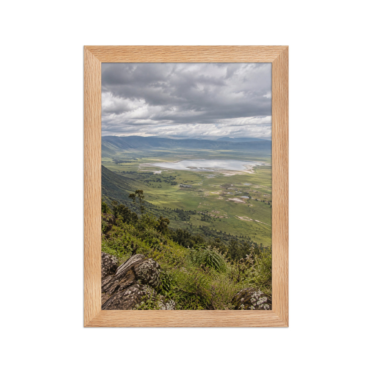 Poster encadré chêne Cratère du Ngorongoro Tanzanie - aperçu 1