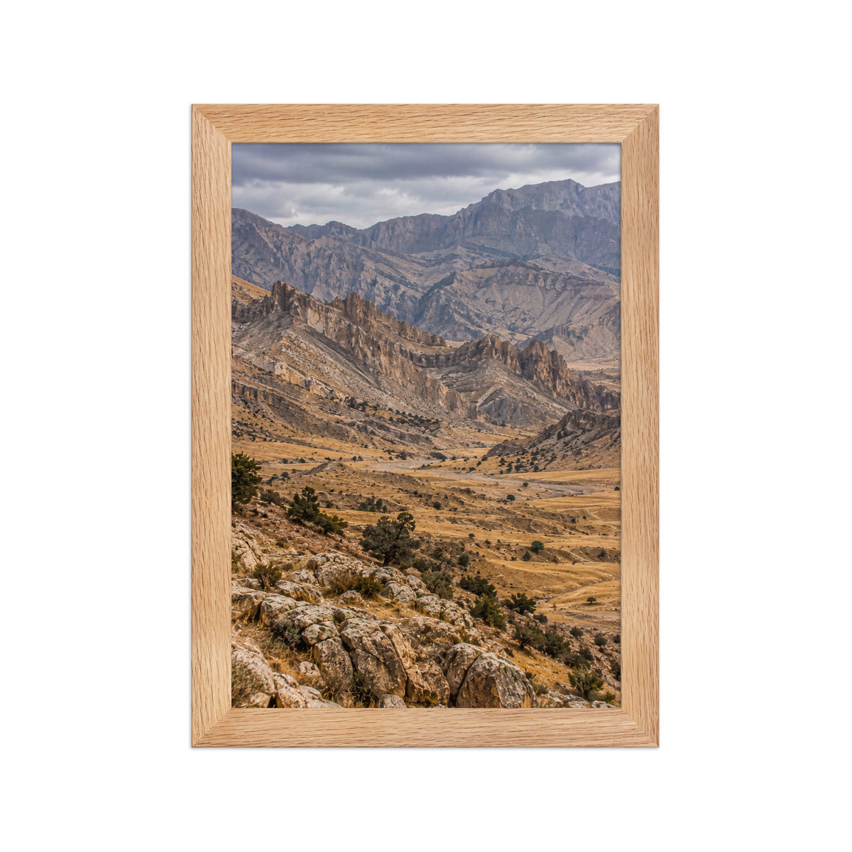 Poster encadré chêne Monts Zagros - aperçu 1