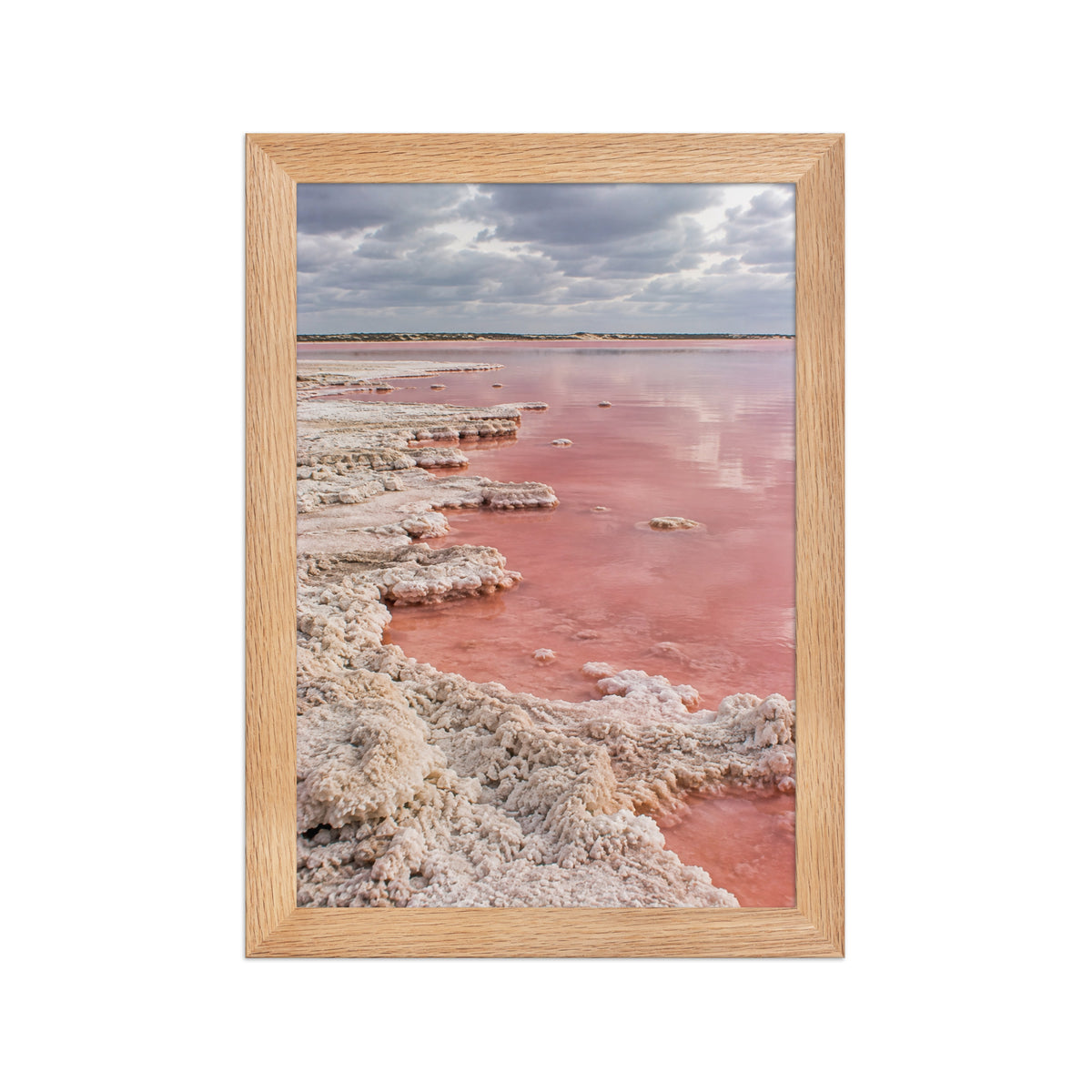 Poster encadré chêne Lac Rose Sénégal - aperçu 1