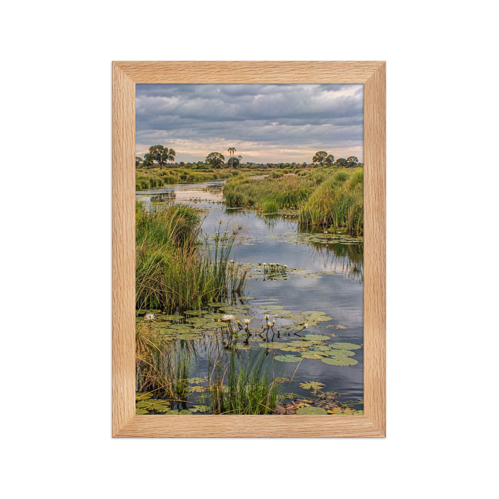Poster encadré chêne Delta de l'Okavango - aperçu 1