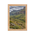 Poster encadré chêne Drakensberg Afrique du Sud - aperçu 1