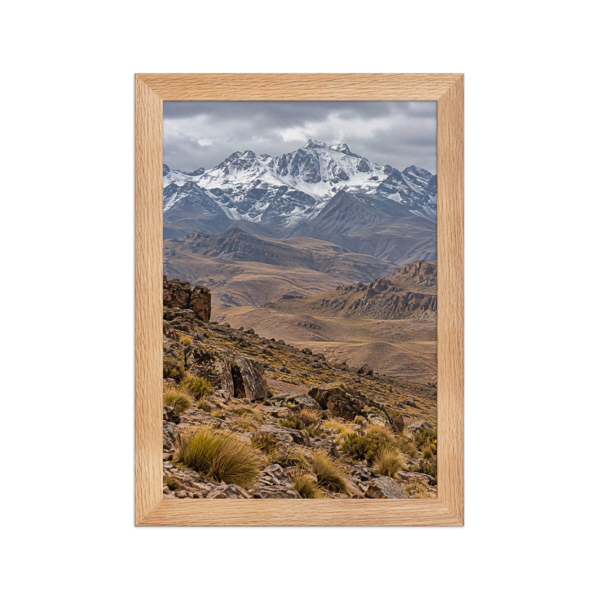 Poster encadré chêne Haut Atlas Maroc - aperçu 1