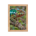 Poster encadré chêne Caméléon panthère - aperçu 1
