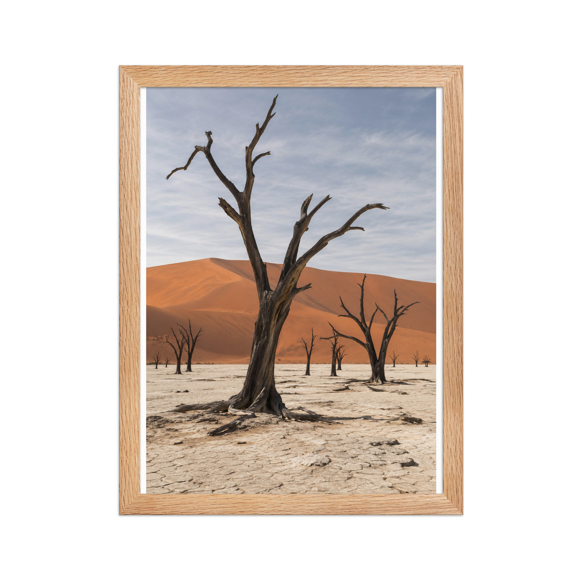 Poster encadré chêne Deadvlei Namibie - aperçu 2