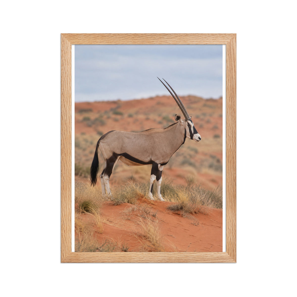 Poster encadré chêne Kalahari et oryx - aperçu 2