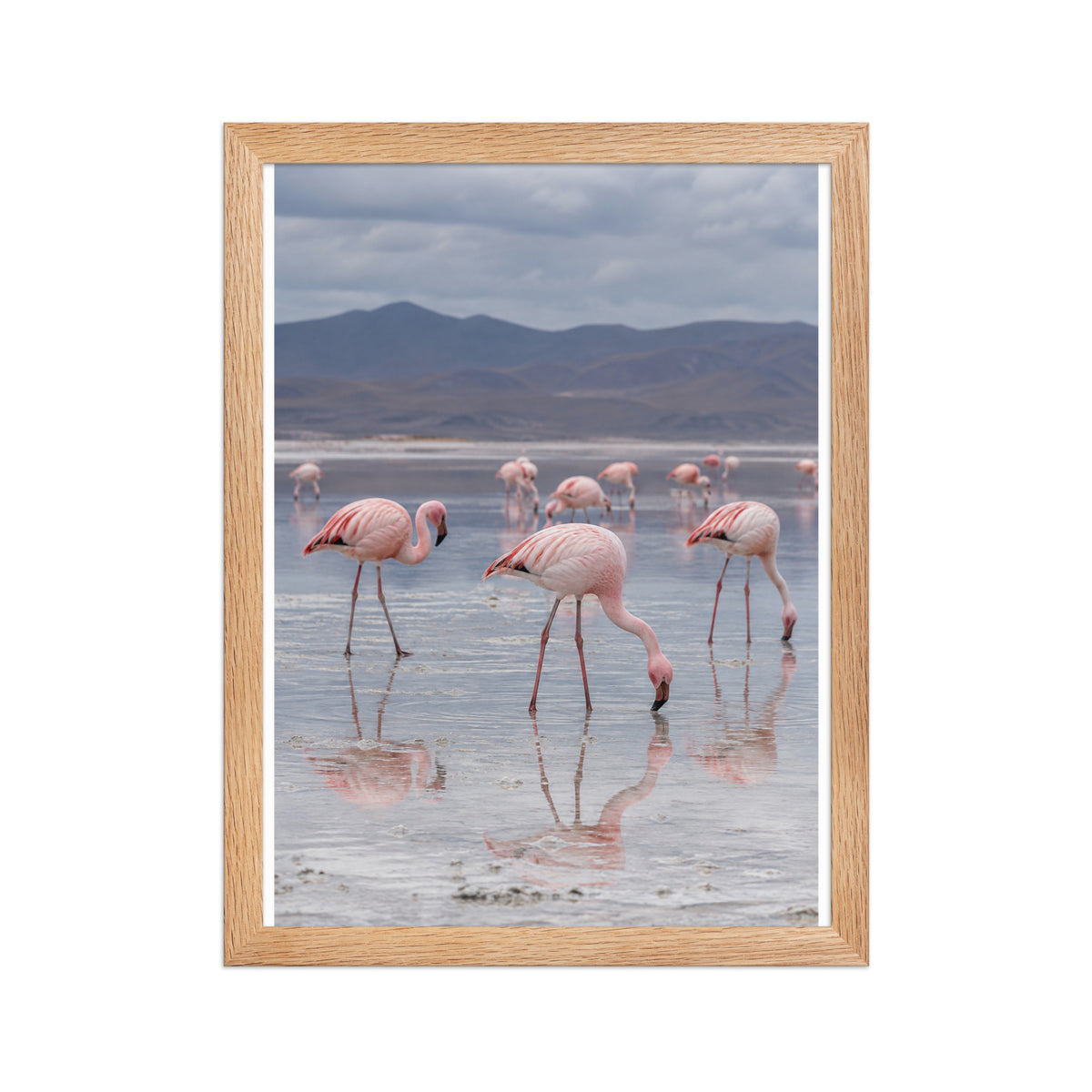 Poster encadré chêne Flamants roses lac salé - aperçu 2