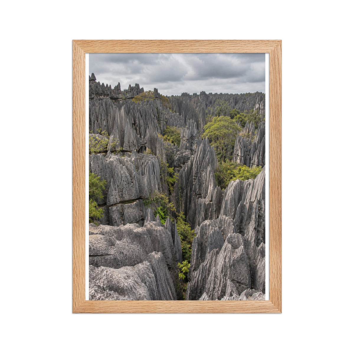 Poster encadré chêne Tsingy Madagascar - aperçu 2
