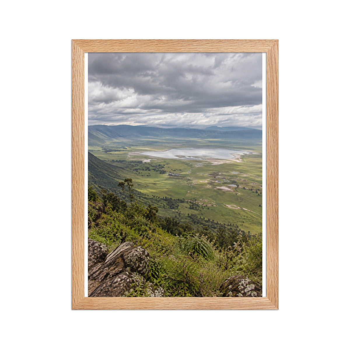 Poster encadré chêne Cratère du Ngorongoro Tanzanie - aperçu 2