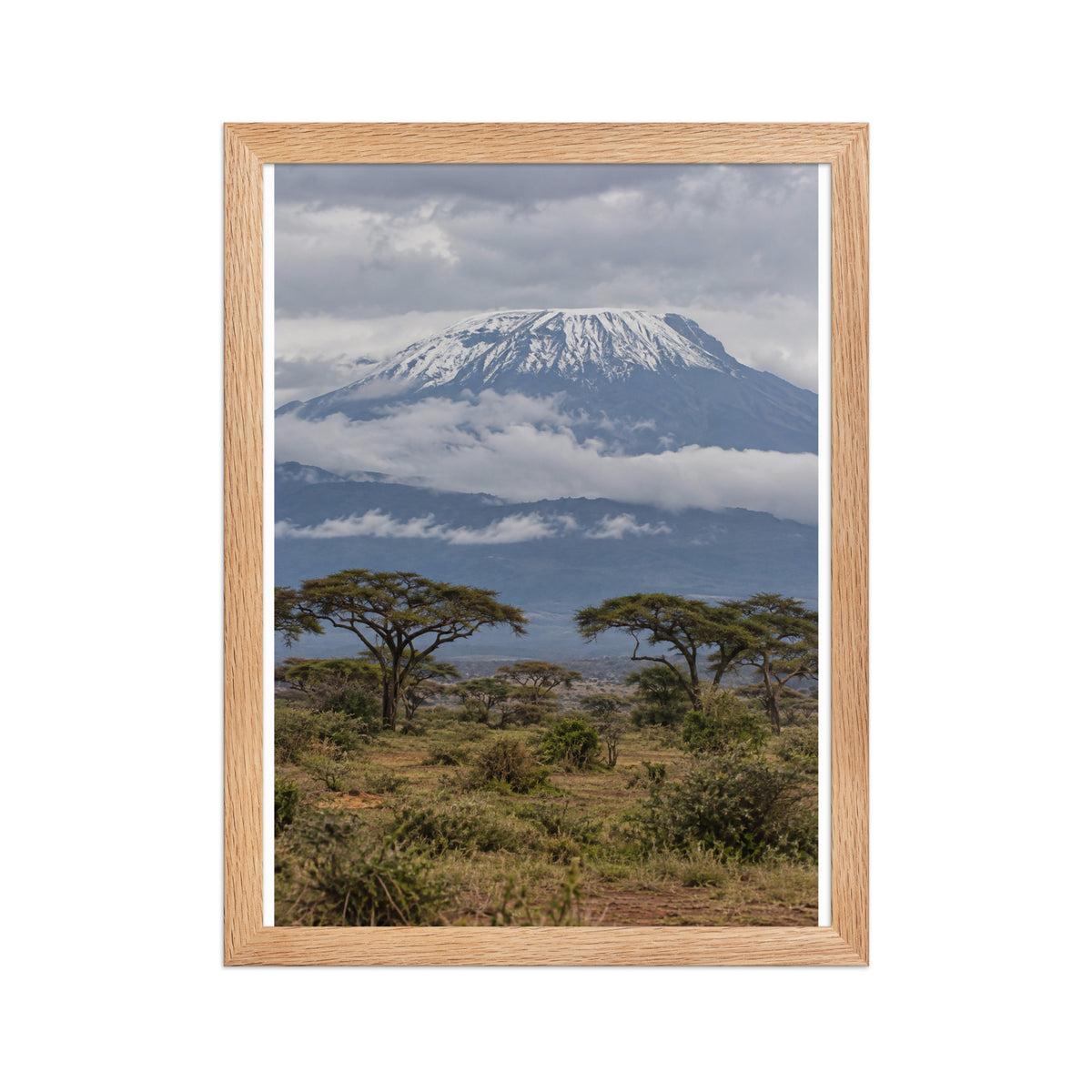 Poster encadré chêne Kilimandjaro - aperçu 2