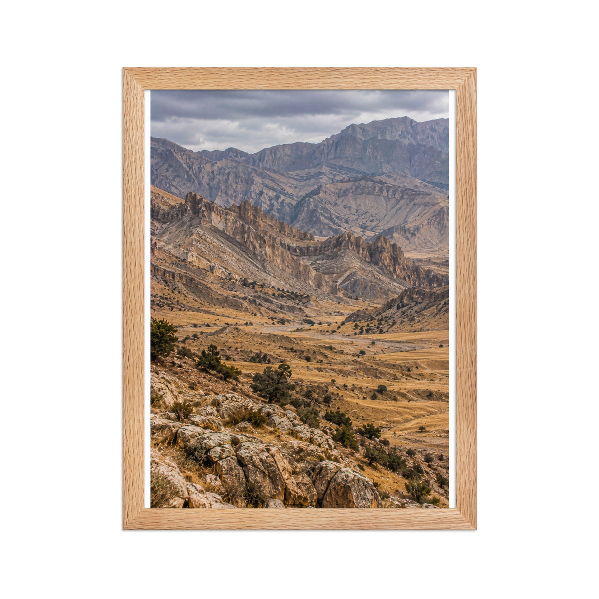 Poster encadré chêne Monts Zagros - aperçu 2