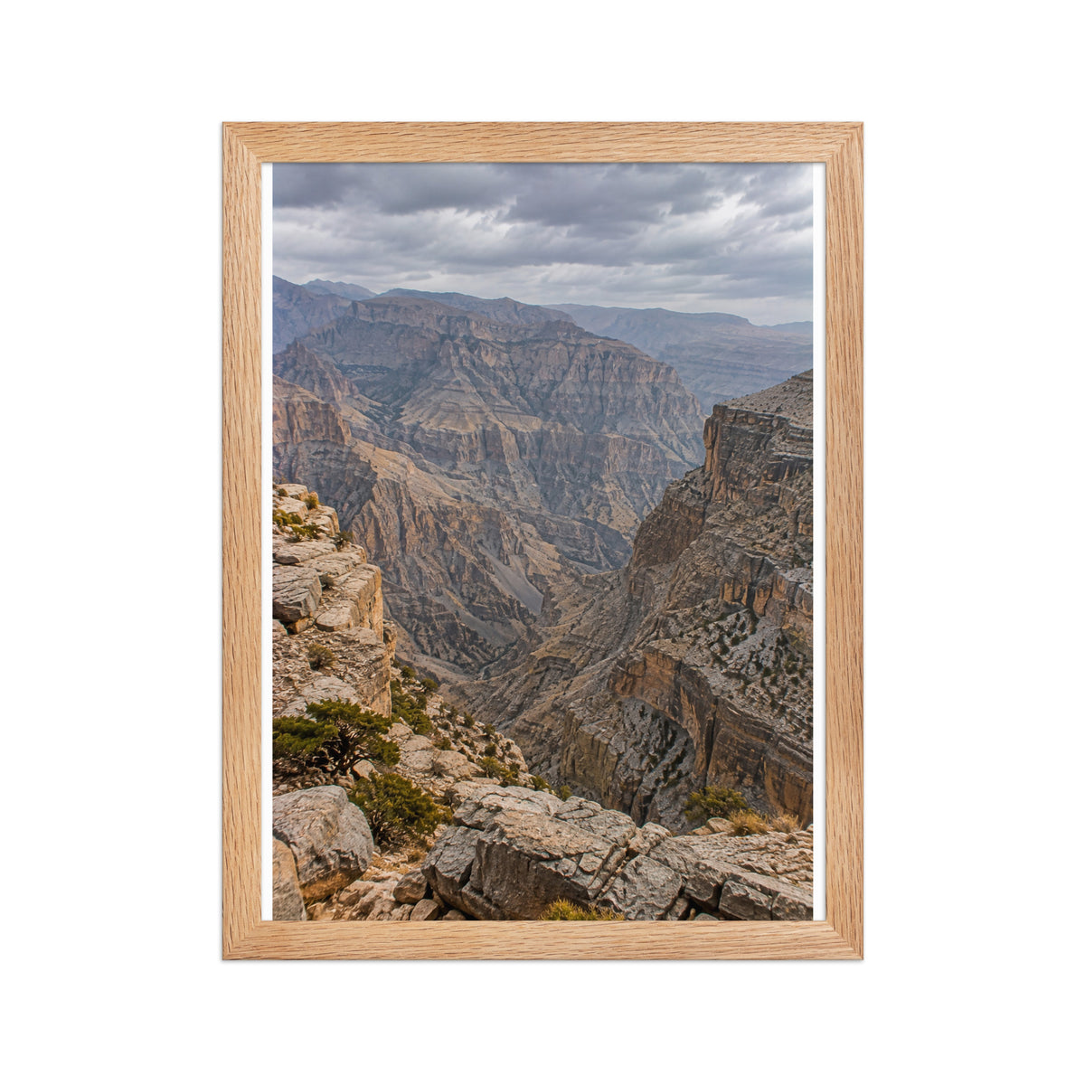 Poster encadré chêne Jebel Shams Oman - aperçu 2