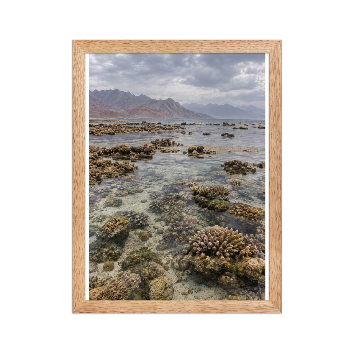 Poster encadré chêne Récif de la mer Rouge - aperçu 2