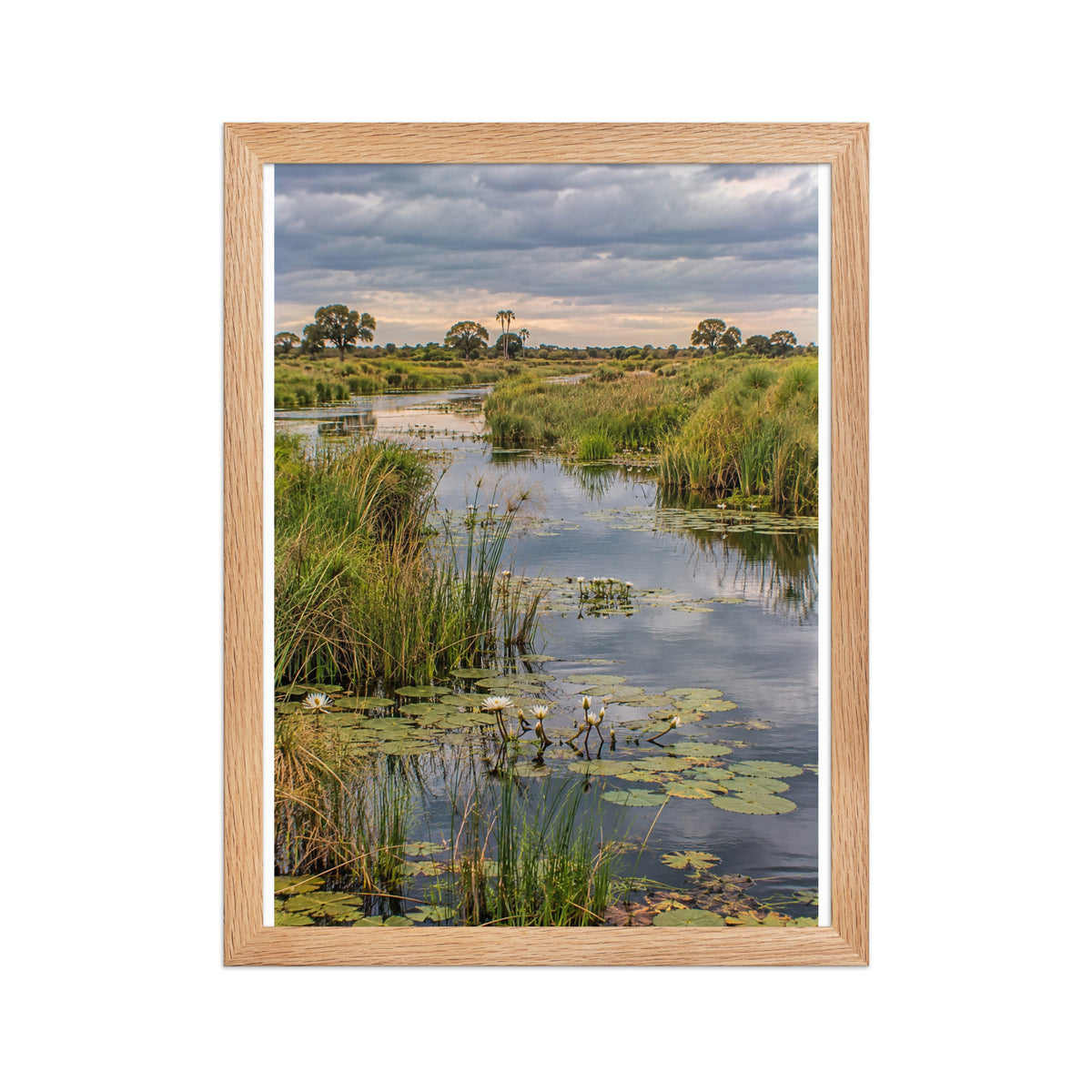 Poster encadré chêne Delta de l'Okavango - aperçu 2