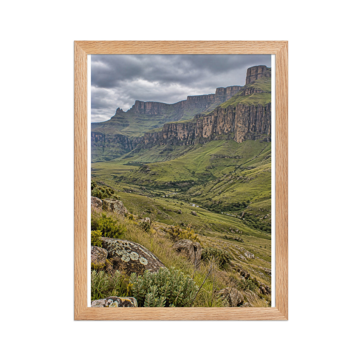 Poster encadré chêne Drakensberg Afrique du Sud - aperçu 2