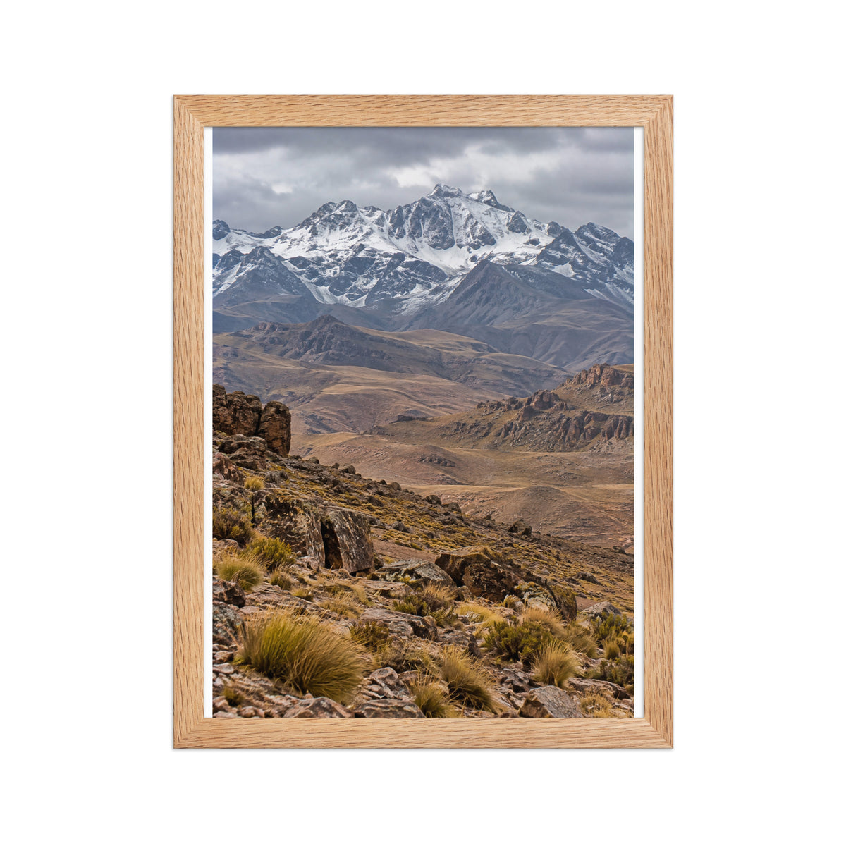 Poster encadré chêne Haut Atlas Maroc - aperçu 2