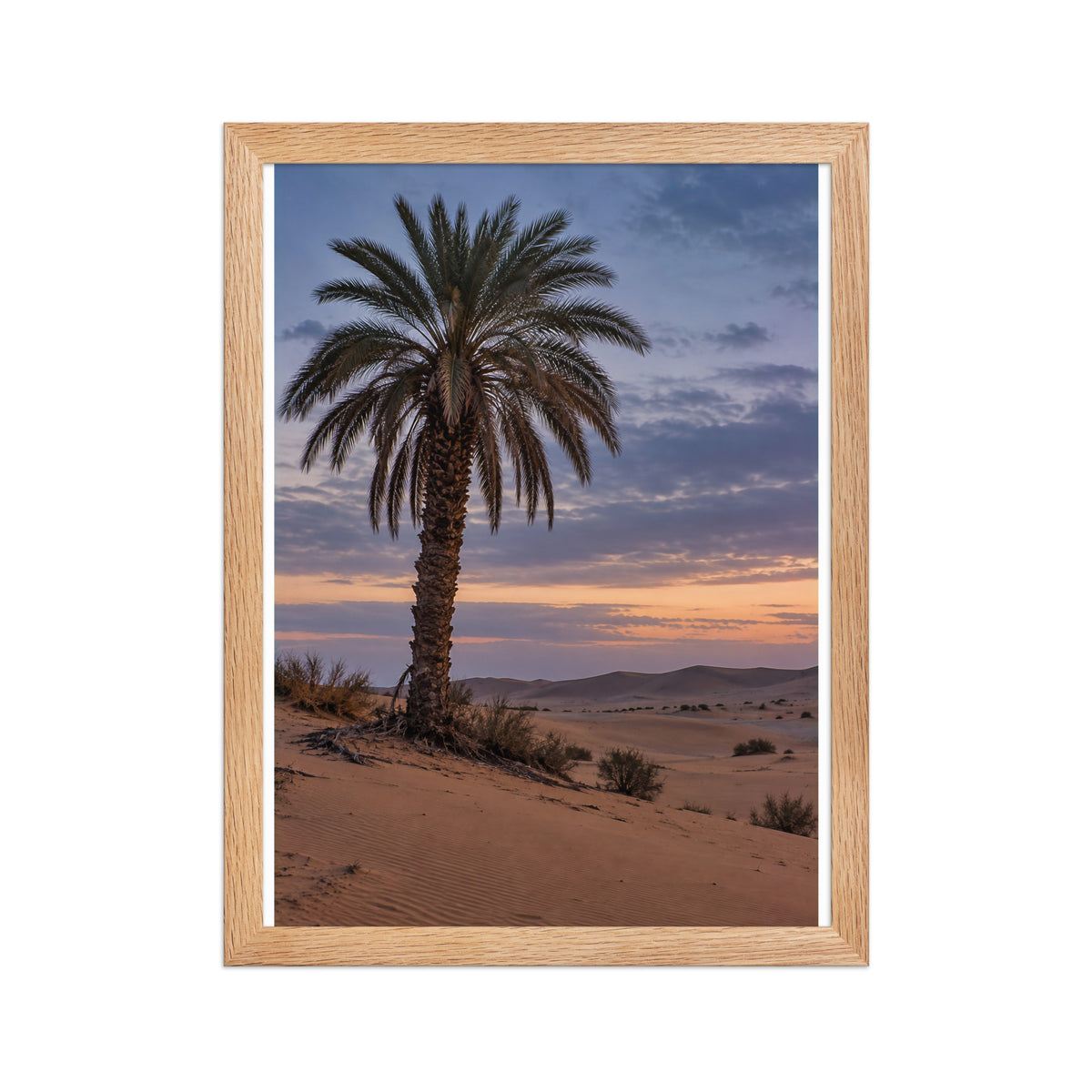 Poster encadré chêne Palmier dattier sur dune - aperçu 2