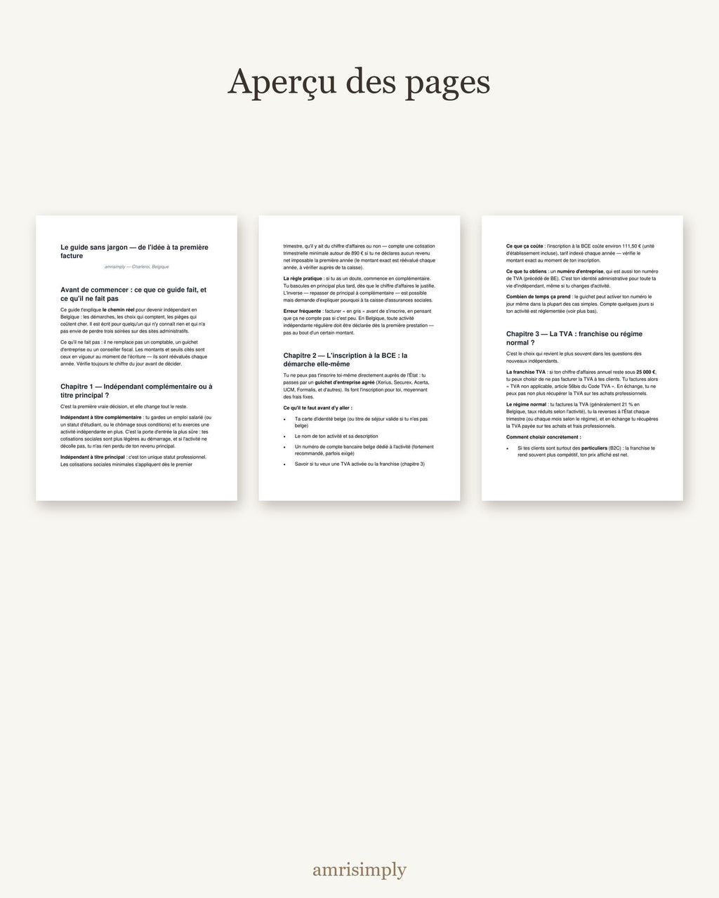 Aperçu de trois pages du guide
