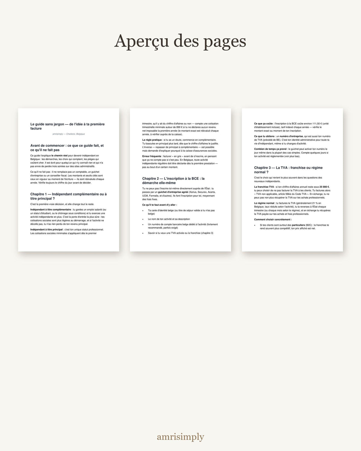 Aperçu de trois pages du guide