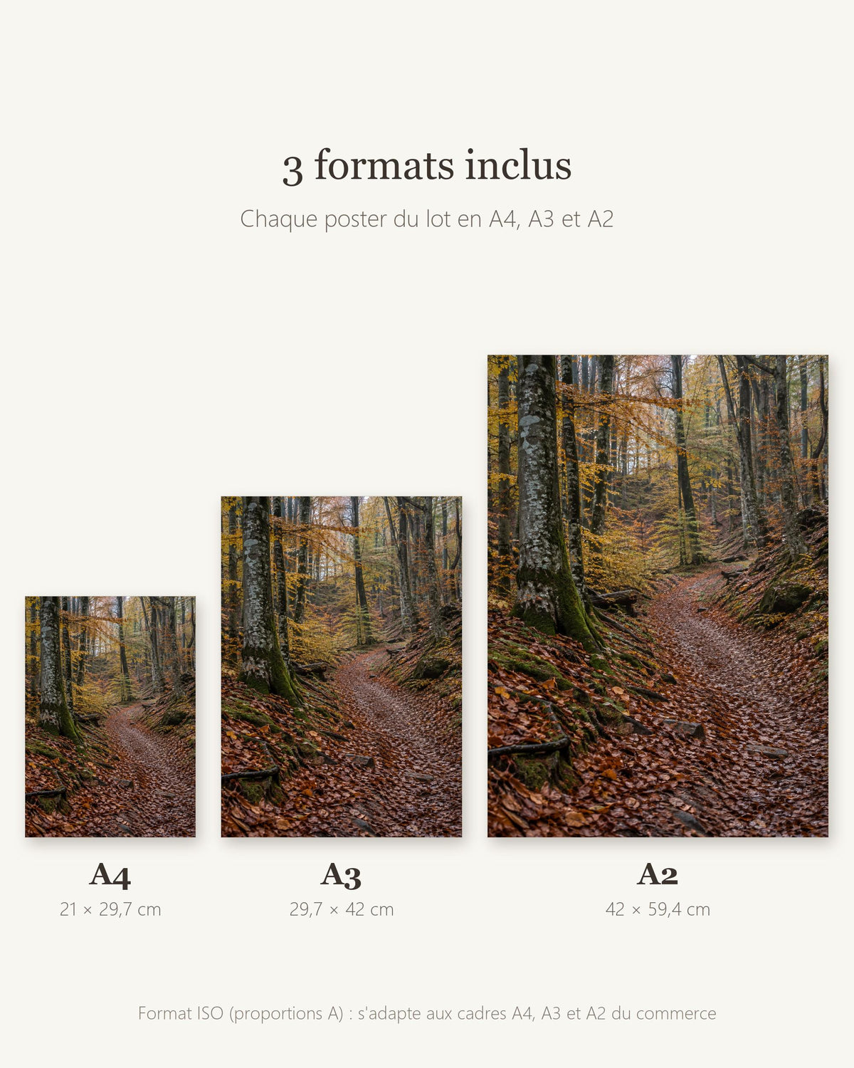 Lot de 3 posters à imprimer — photo 4