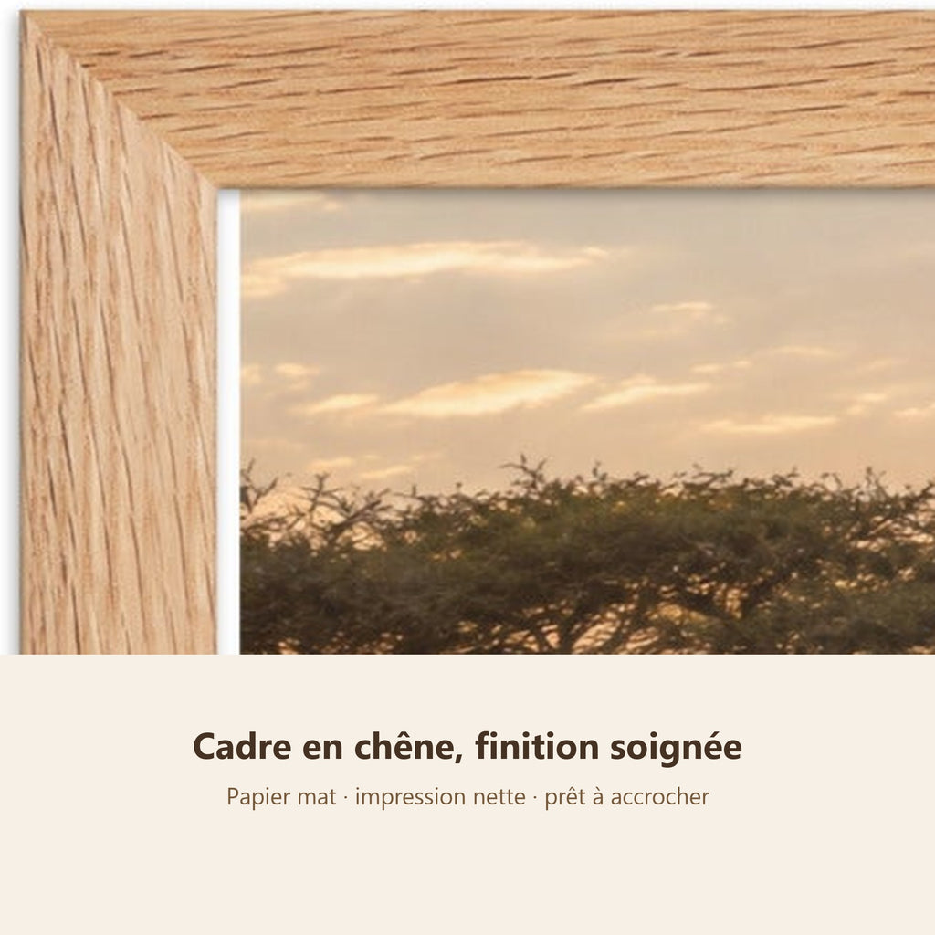 Lot Savane Dorée - 3 Posters Encadrés Nature Afrique - Cadre Chêne