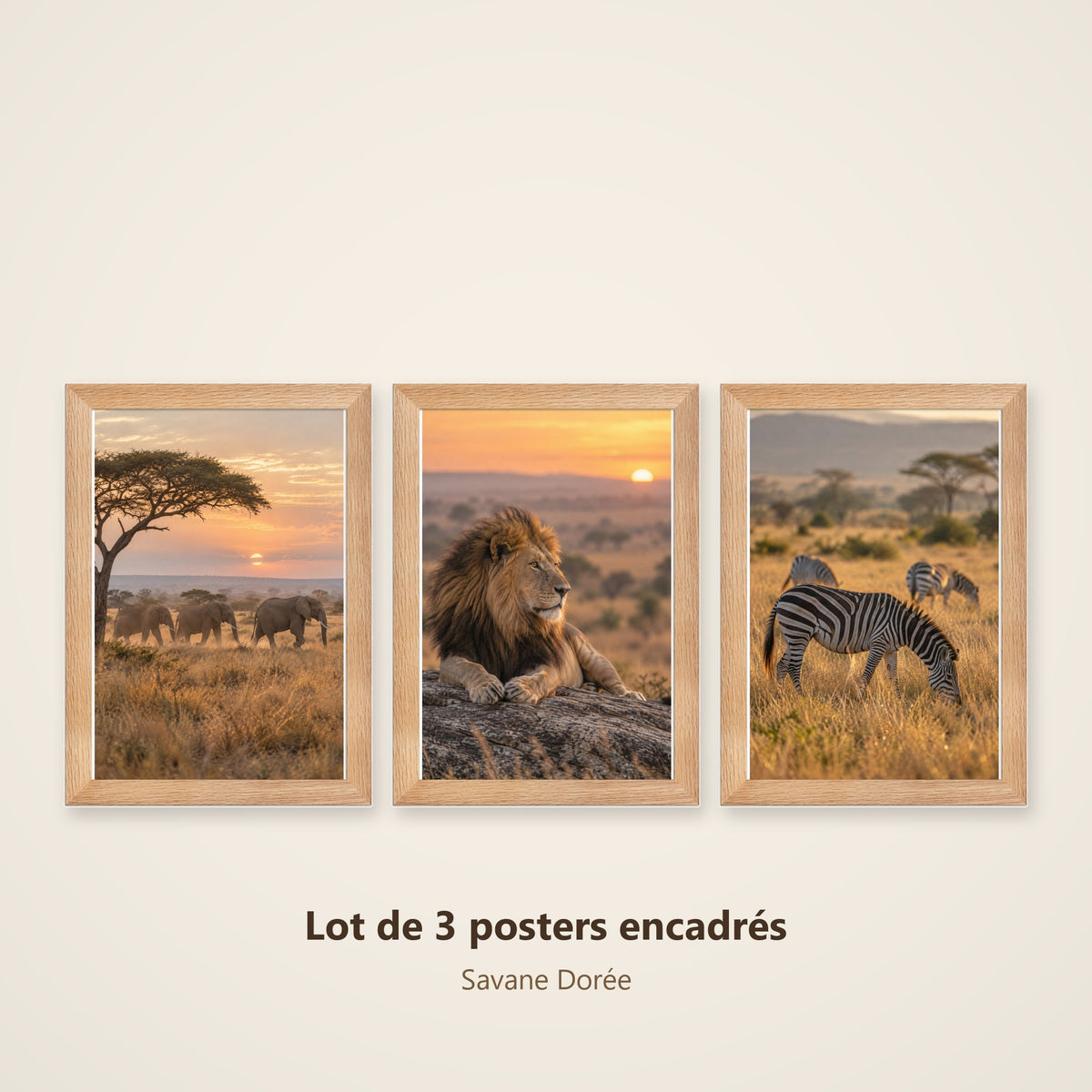 Lot Savane Dorée - 3 Posters Encadrés Nature Afrique - Cadre Chêne