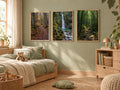Lot Forêts Apaisantes - 3 Posters Encadrés Nature Forêt - Cadre Chêne