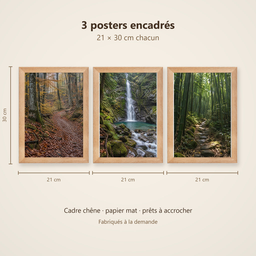 Lot Forêts Apaisantes - 3 Posters Encadrés Nature Forêt - Cadre Chêne