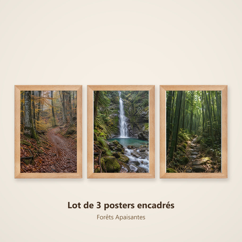 Lot Forêts Apaisantes - 3 Posters Encadrés Nature Forêt - Cadre Chêne