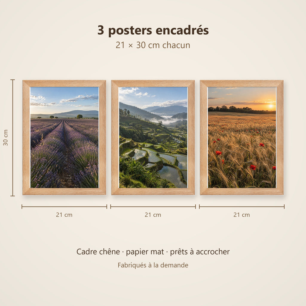 Lot Champs et Campagne - 3 Posters Encadrés Nature Champêtre - Cadre Chêne