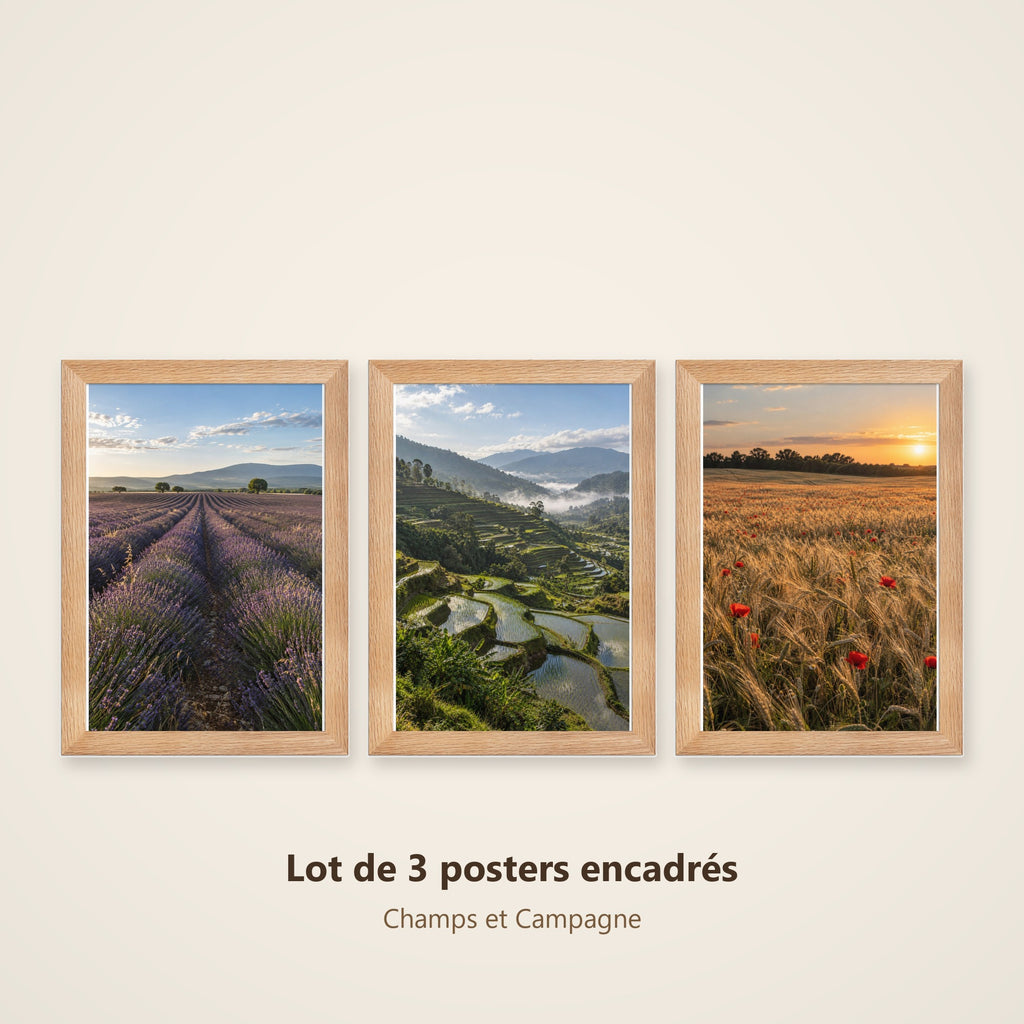 Lot Champs et Campagne - 3 Posters Encadrés Nature Champêtre - Cadre Chêne
