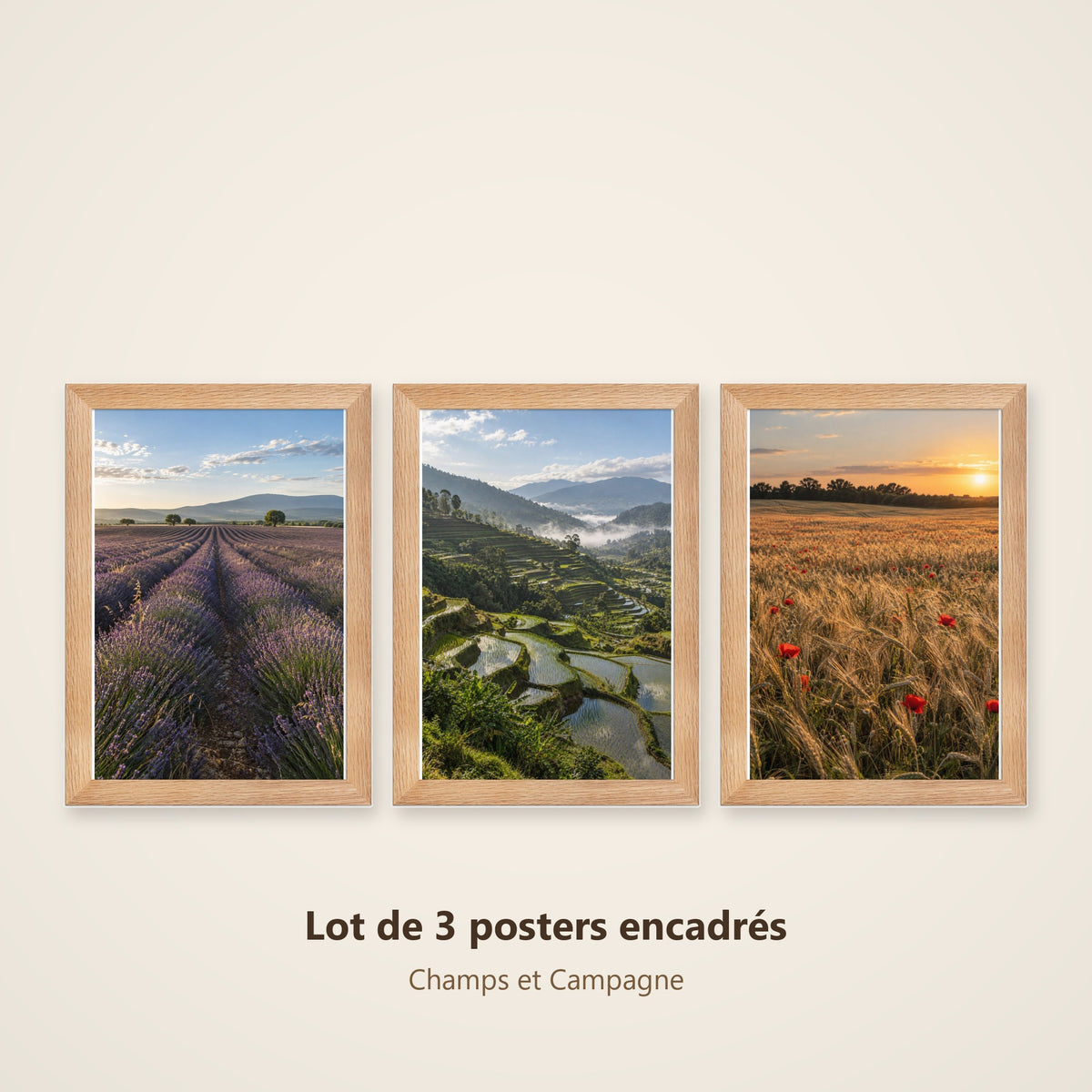 Lot Champs et Campagne - 3 Posters Encadrés Nature Champêtre - Cadre Chêne