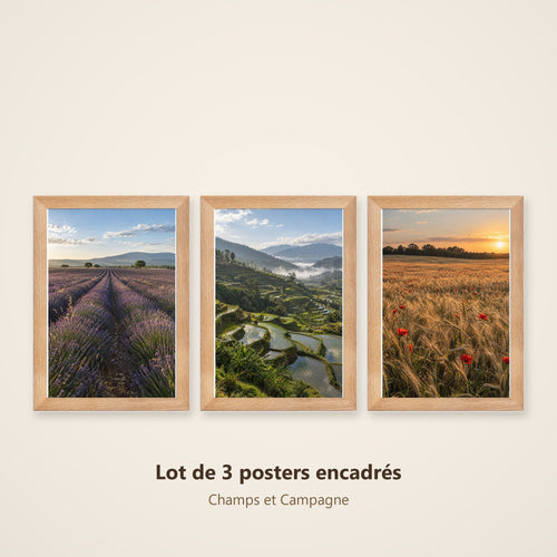 Lot Champs et Campagne - 3 Posters Encadrés Nature Champêtre - Cadre Chêne
